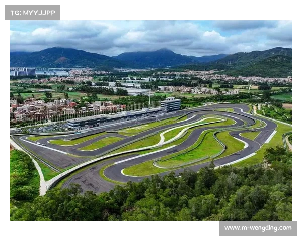 汉密尔顿环保倡议推动2026赛季采用可降解赛车涂装助力绿色赛车革命