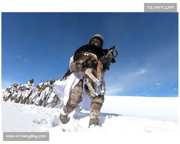 高原医疗组守护生命 甘南赛道应对缺氧急救挑战全记录