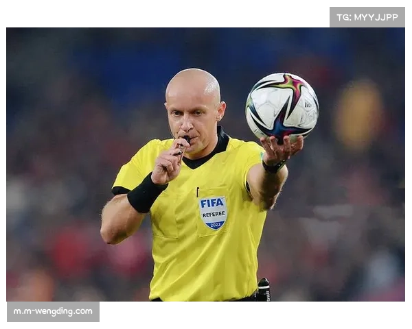 欧冠手球规则解读分歧持续 球队训练需适应裁判尺度变化